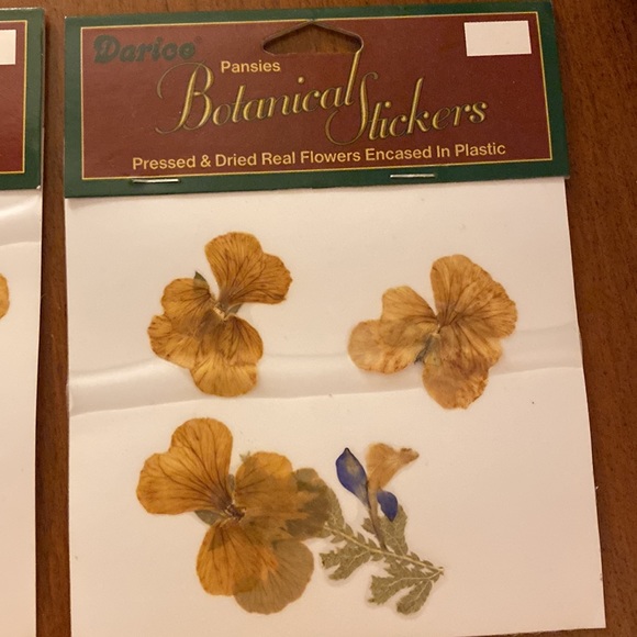 Darice botanical flowers 🌼🌿Pressed and dried real flowers! 🌼🌿 - Picture 3 of 6